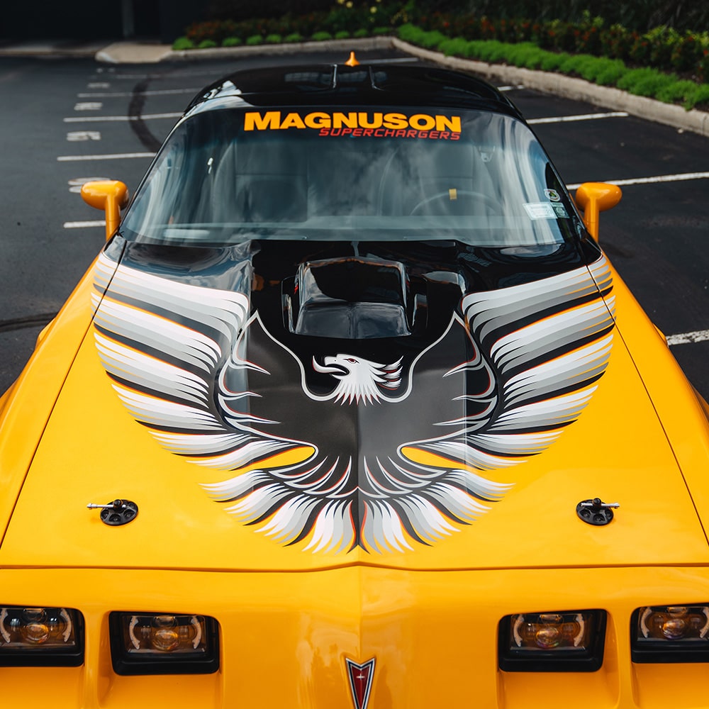 Aerial View of the Hood of a 1981 Pontiac Trans Am with a Grey Bird Graphic