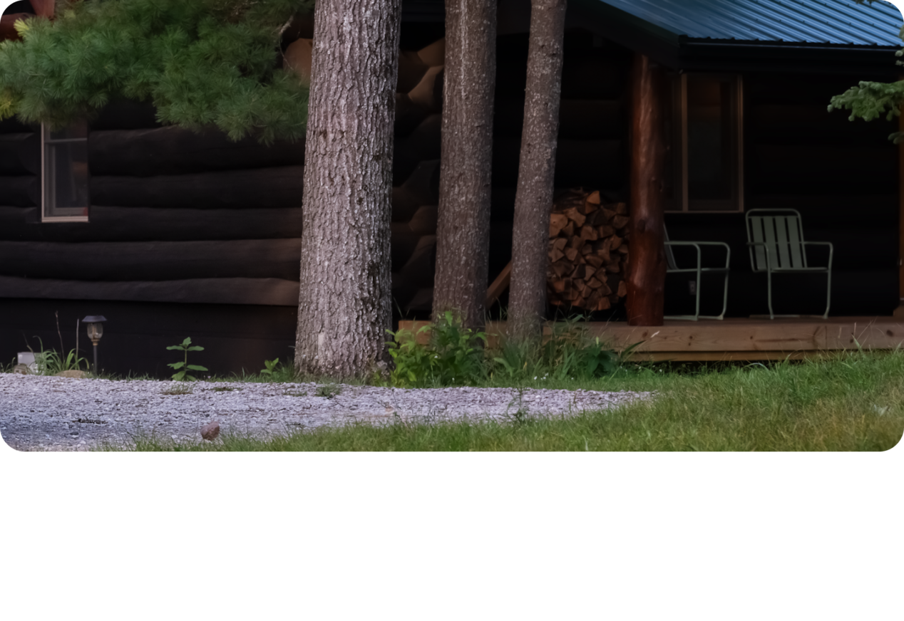 A Landscape View of Pine Tree Trunks Next to a Log Cabin