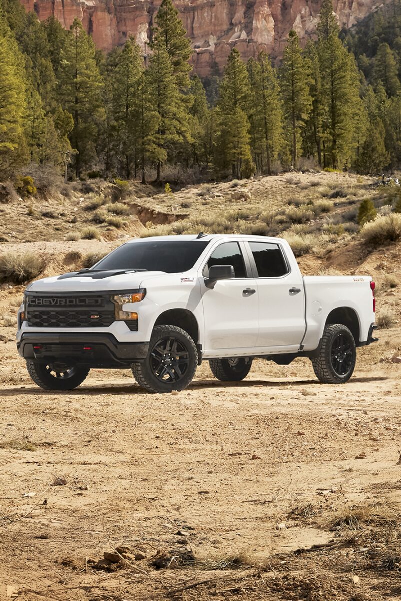 Silverado Trail Boss Truck Parked Near the Edge of a Forest