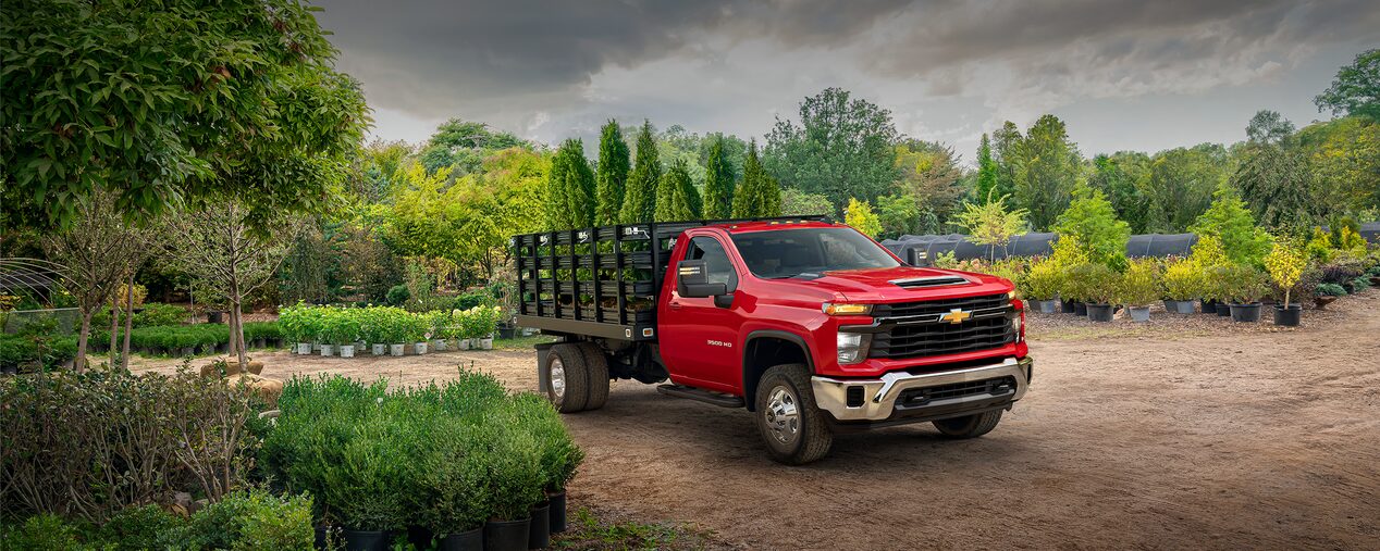 2025 Chevy Silverado 3500 HD Chassis Cab Hauling Trees From a Gardening Center