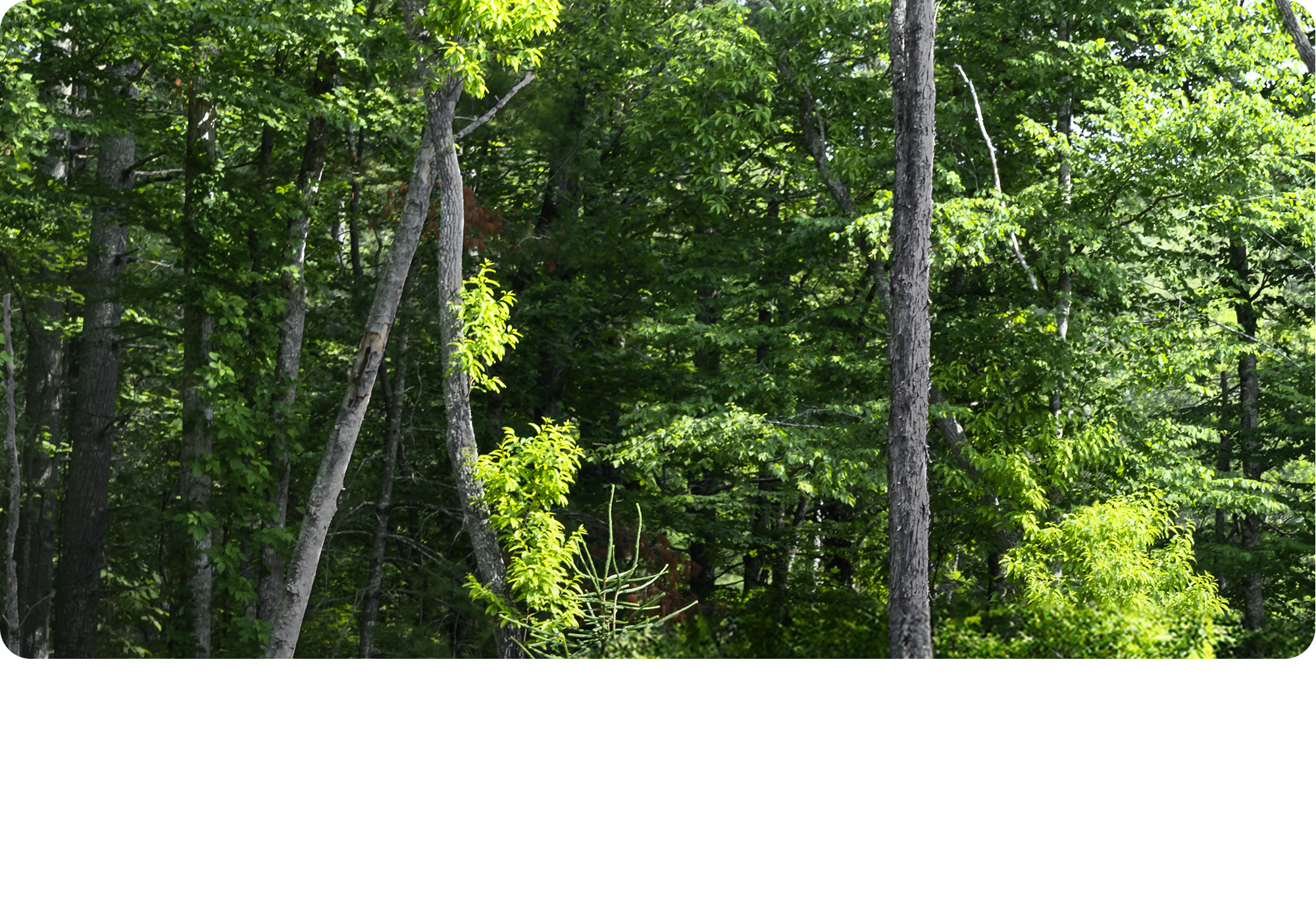 2026 Chevy Traverse Parked in the Driveway of a Cabin in the Woods