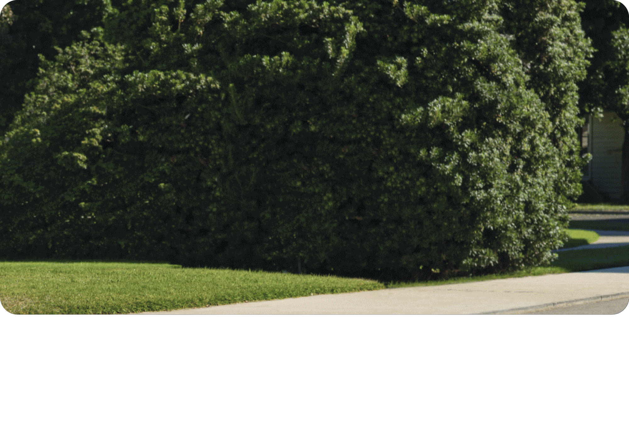 City Sidewalk at Night