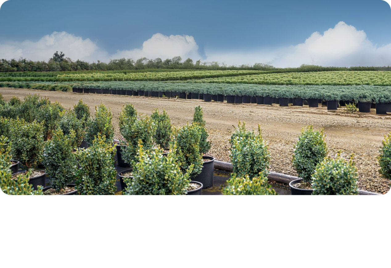 A View of a Green Field on a Sunny Day by the Road