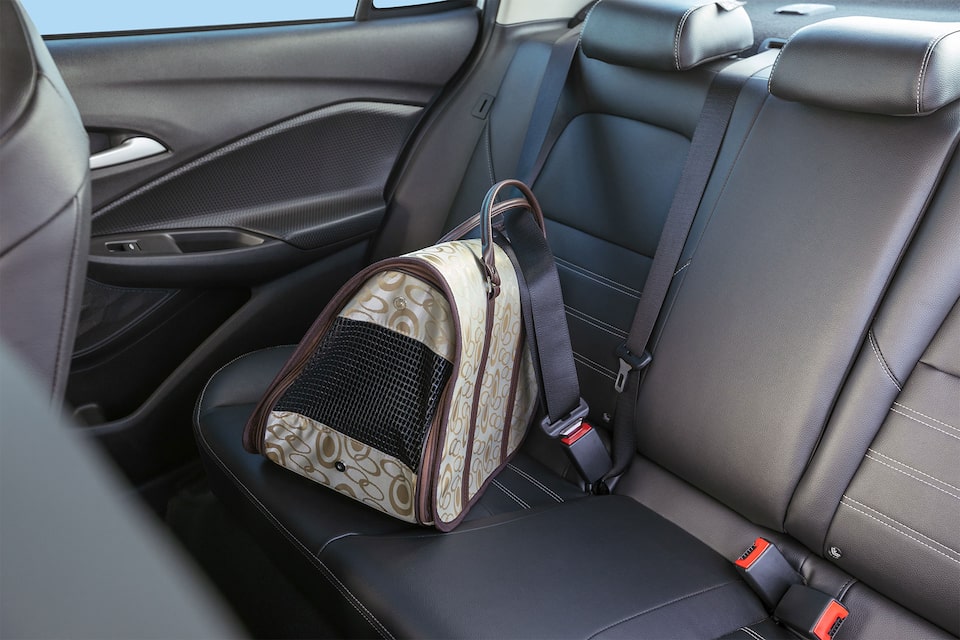 Bolsa para transporte de pet da Chevrolet para passeios e viagens no Novo Tracker 2021