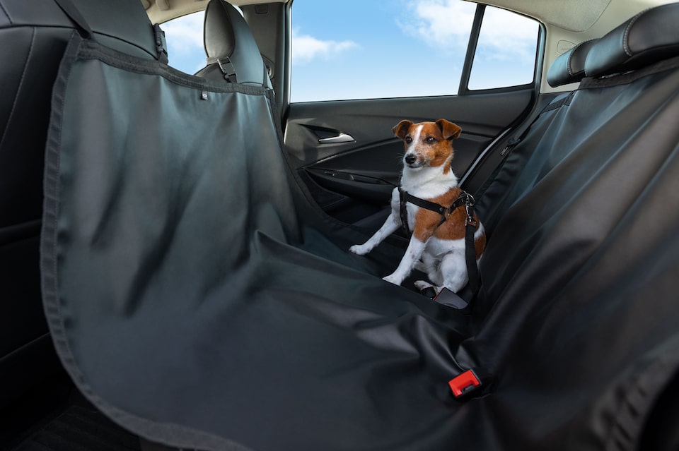 Capa de banco para pet do Novo Tracker 2021 para transporte do animal