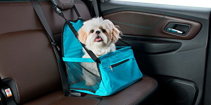 Cadeirinha de banco para pets na cor azul, ,com um cachorro dentro, do novo Spin 2025