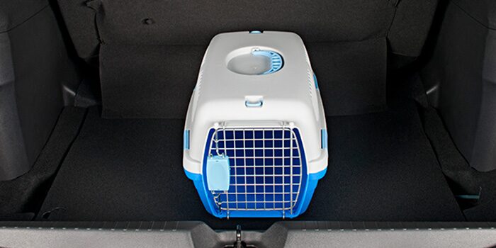 Caixa de transporte de pets pequena, na cor azul, do novo Spin 2025
