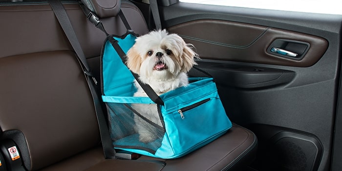 Cadeirinha de banco pet do Trailblazer