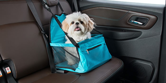 Cadeirinha de banco pet do Blazer EV RS