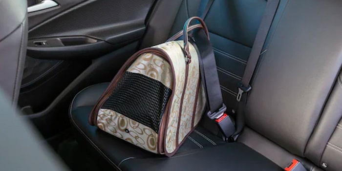 Leve seus melhores amigos a bordo da Nova Chevrolet Montana com conforto e segurança.