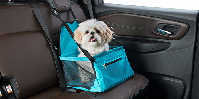 Cadeirinha de banco para pet da S10