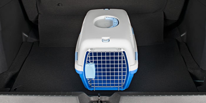 Caixa de Transporte para Pet nº 1 da S10