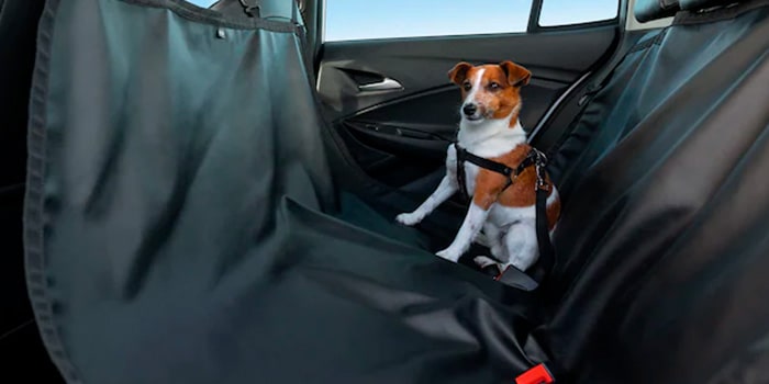 Capa de banco para pet: pensado para seus melhores amigos viajarem sempre com conforto e segurança a bordo da Nova Chevrolet Montana 2023.