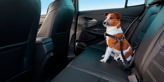 Extensor de cinto de segurança para pet: acessório peitoral para seus melhores amigos viajarem seguros e confortáveis a bordo da Nova Chevrolet Montana 2023.