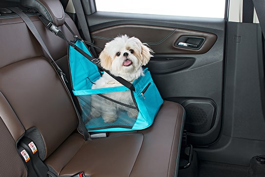 Cadeirinha de banco para Pet acessórios carro Chevrolet