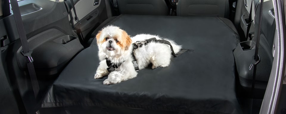 Acessórios para Pet para carros