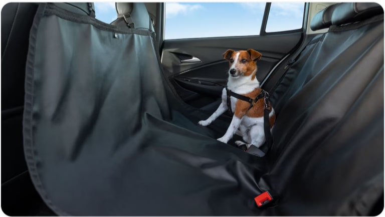 Capa de banco e porta-malas PET da linha de acessórios originais Chevrolet para o Chevrolet Onix Plus. 