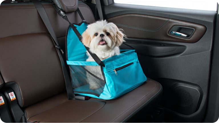 Cadeirinha de banco PET da linha de acessórios originais Chevrolet para o Chevrolet Onix HB. 