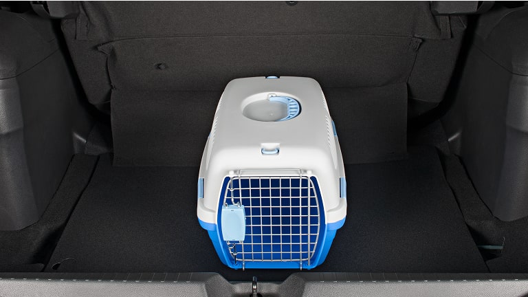 Caixa de transporte média n3 para pet do Equinox.