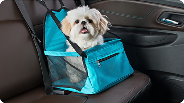 Cadeirinha de banco para pet da linha de acessórios originais Chevrolet para o novo Spark EUV