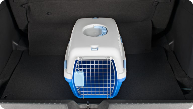 Caixa de transporte Nº1 para pet da linha de acessórios originais Chevrolet para o novo Spark EUV