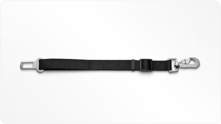 Imagem do extensor de cinto de segurança para pet da linha de acessórios originais Chevrolet para o Tracker 2026