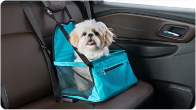 Cadeirinha PET da linha de acessórios originais Chevrolet para o SUV Trailblazer.