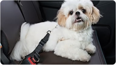 Extensor de cinto de segurança da linha de acessórios originais Chevrolet para o SUV Trailblazer.