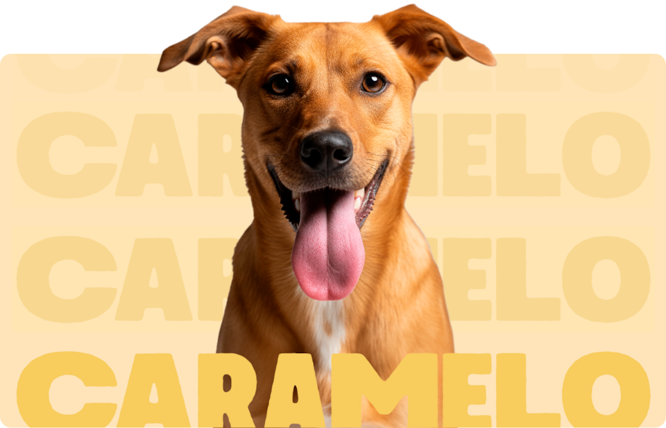 Cachorro caramelo ladeado pela palavra caramelo em tipo desenvolvido para a campanha elaborada em parceria entre a Chevrolet e a Netflix para o Tracker Caramelo e para o filme Caramelo.
