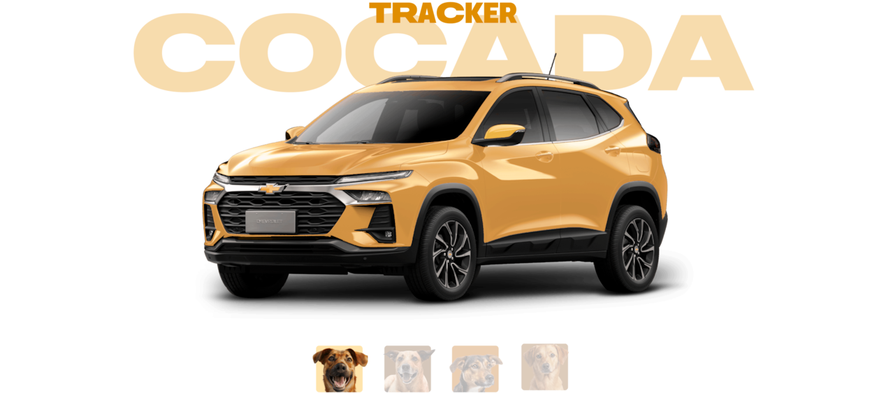 Carrossel com vários tons de caramelo - acompanhados de seus respectivos vira-latas - propostos para o Chevrolet Tracker.