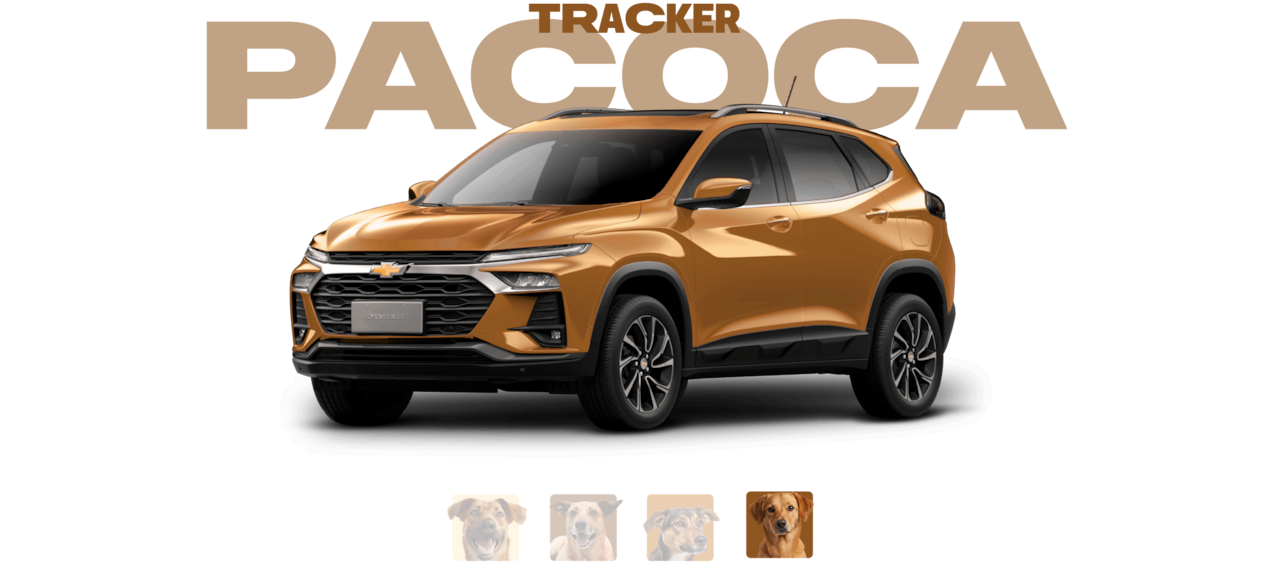 Carrossel com vários tons de caramelo - acompanhados de seus respectivos vira-latas - propostos para o Chevrolet Tracker.