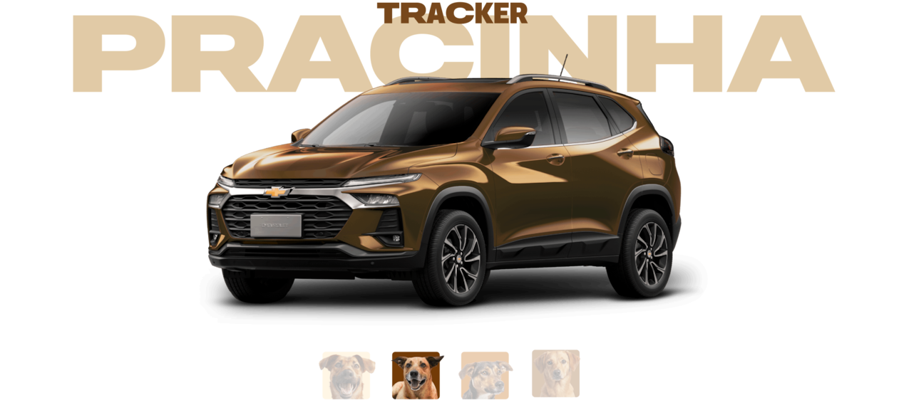 Carrossel com vários tons de caramelo - acompanhados de seus respectivos vira-latas - propostos para o Chevrolet Tracker.