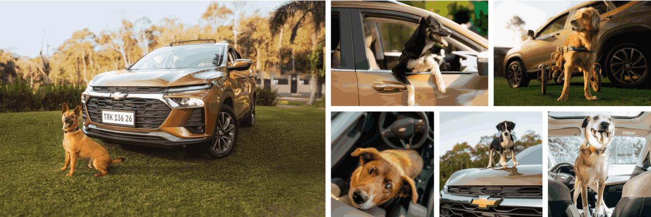 Mosaico inicial da galeria de fotos da LP de Tracker Caramelo. Cada uma das fotos mostra um cachorro caramelo disponível para adoção junto ao Instituto Caramelo acompanhado pelo Chevrolet Tracker pintado na cor Caramelo BR.