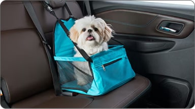 Cadeirinha de banco para pet da linha de acessórios originais Chevrolet para o Captiva EV.