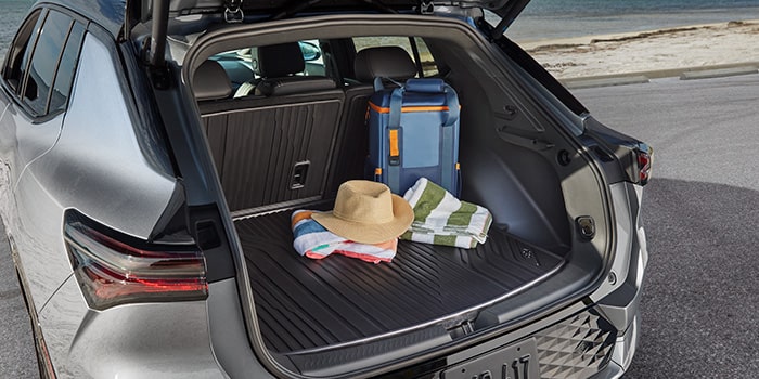 Cobertura do porta-malas rígida tipo bandeja com divisórias