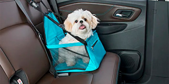 Cadeirinha de banco pet do Equinox EV