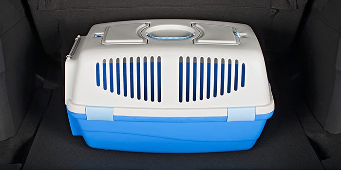 Caixa de transporte média n3 para pet do Equinox EV