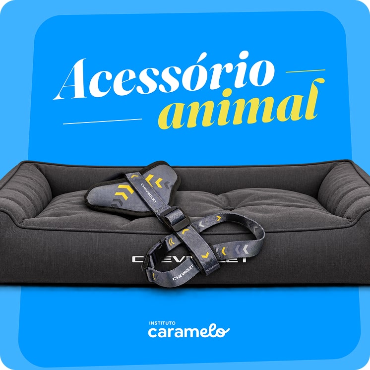 Cama pet Chevrolet com acessório para animais de estimação, na cor grafite.