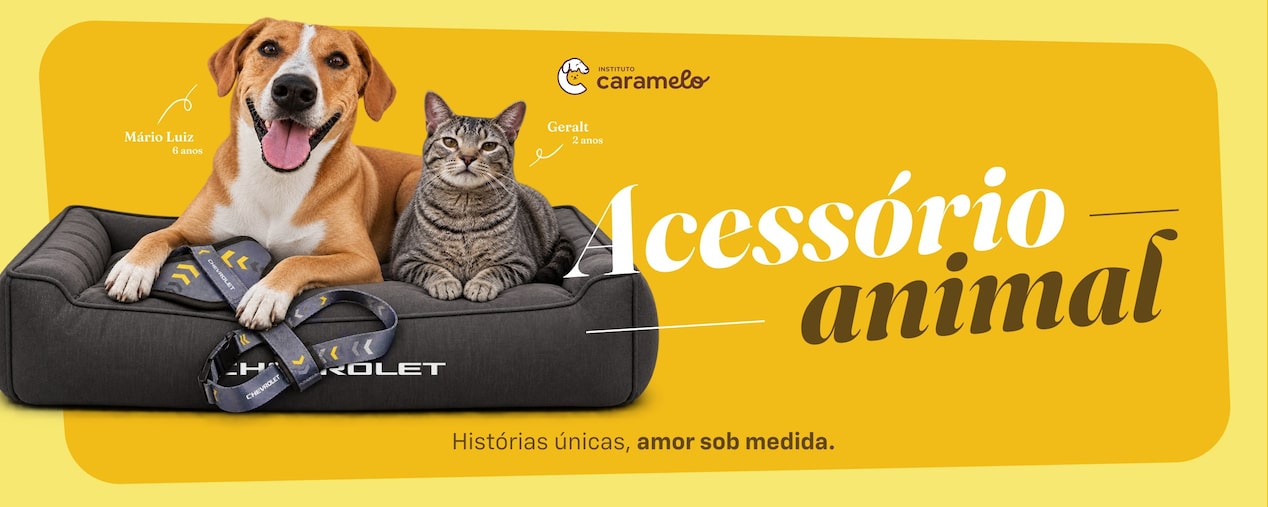 Cão e gato acomodados em uma cama pet Chevrolet, destacando a linha de acessórios para animais desenvolvida para proporcionar conforto e segurança durante viagens.