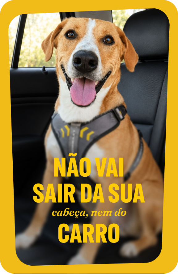 Cachorro caramelo e branco com Acessório Pet Chevrolet Peitoral Cinza sentado no banco traseiro de veículo