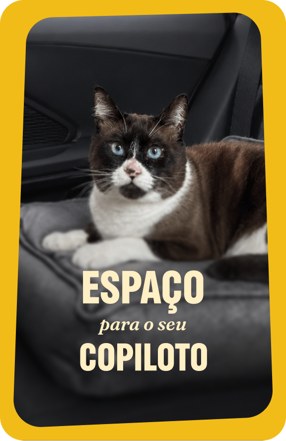 Gato bicolor deitado em assento de carro Chevrolet: espaço para seu copiloto