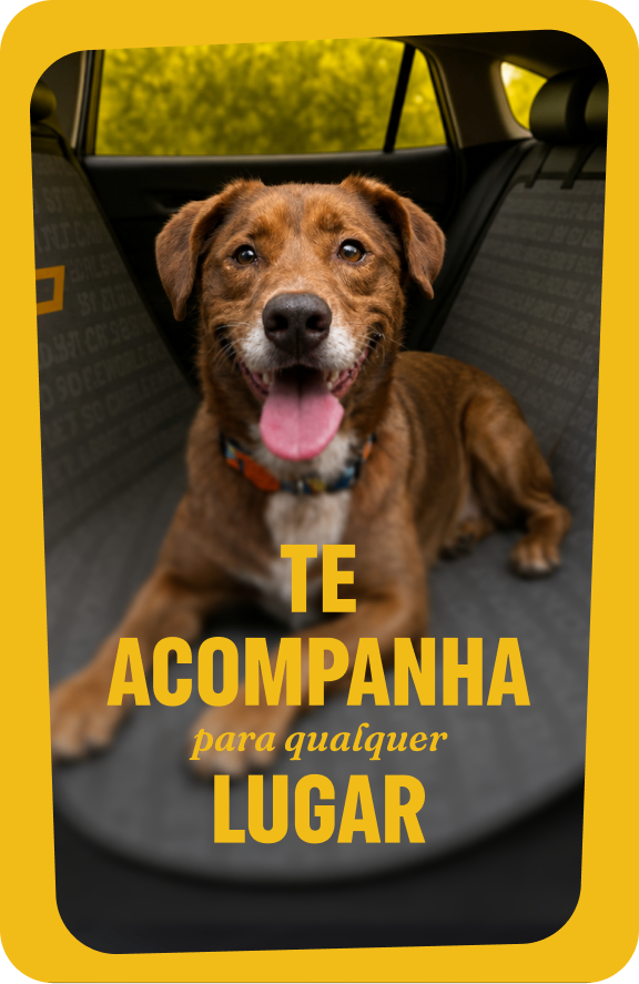 Cachorro marrom deitado em assento de carro Chevrolet: te acompanha para qualquer lugar