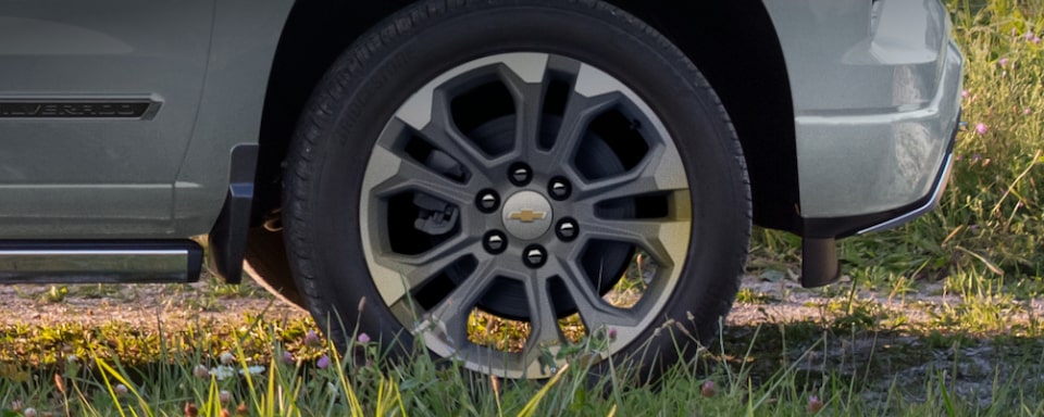Mastehead da página de Proteção dos acessórios originais Chevrolet para a picape Silverado, que aparece em imagem ambientada no campo.