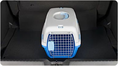 Caixa de transporte PET dentro de um porta malas.