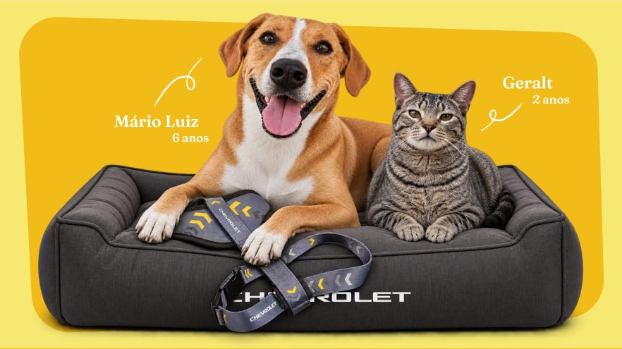 Cão e gato acomodados em uma cama pet Chevrolet, destacando a linha de acessórios para animais desenvolvida para proporcionar conforto e segurança durante viagens.